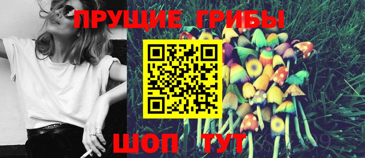 Галлюциногенные грибы ЛСД  Вход с VPN  наркота  Севастополь 